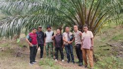 Melalui LP KPK Pengawasan Divisi Tipikor,Tanah Kas Desa Tanambuah Berhasil Di Kembalikan Ke Pemerintah Desa