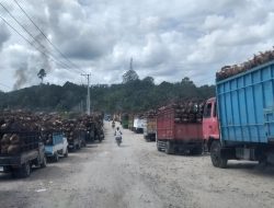 PT.MAS Budong-Budong Kabupaten Mamuju Tengah Jadi Pilihan Para Sopir Pengangkut TBS,Ini Alasannya..